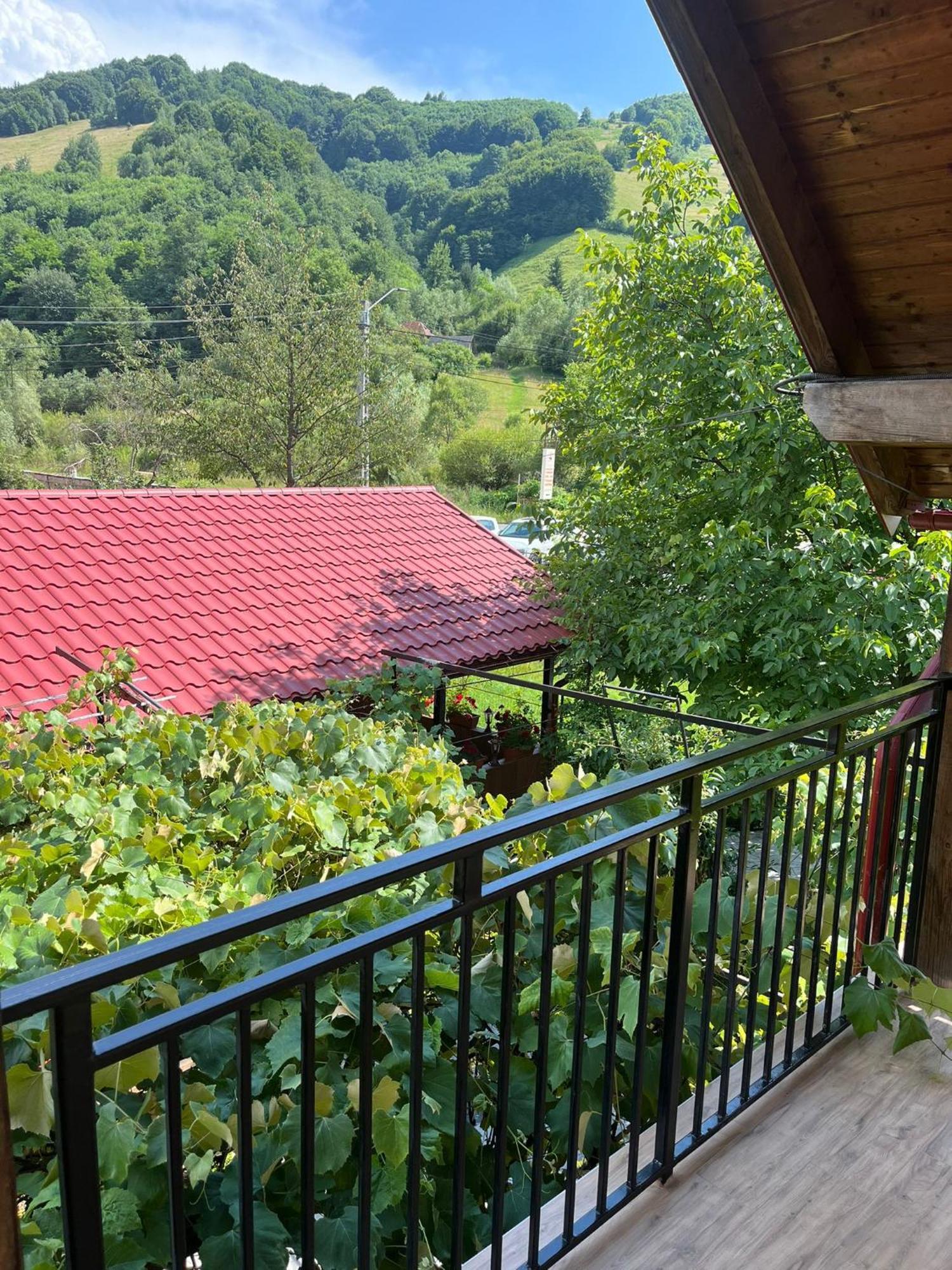 Hotel Kilometru108 Leordina Zewnętrze zdjęcie