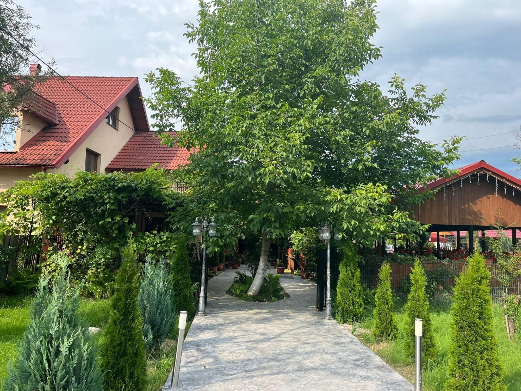 Hotel Kilometru108 Leordina Zewnętrze zdjęcie